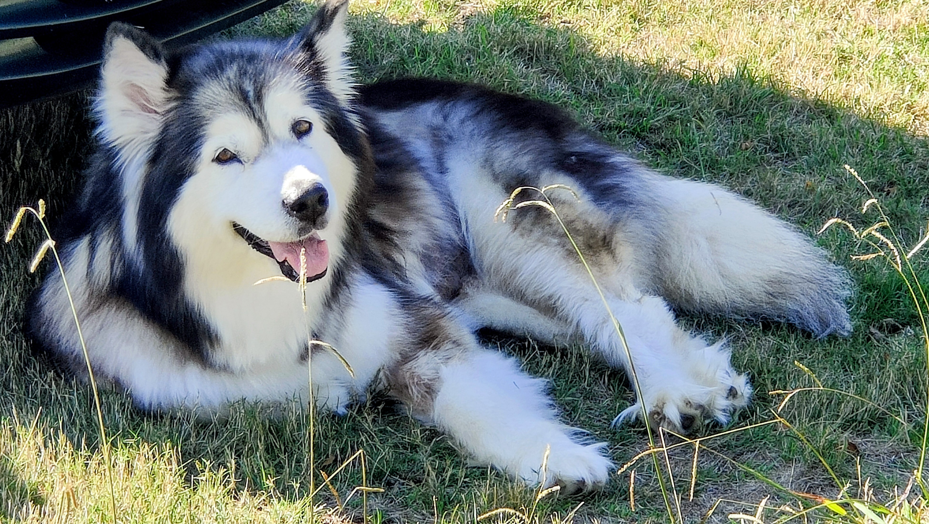 Perry's Farm North image